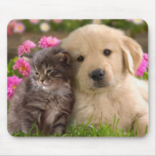 Golden Retriever Puppy and Kitten Mouse Pad