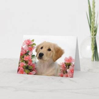 Golden Retriever Puppy and Pink Flowers Card