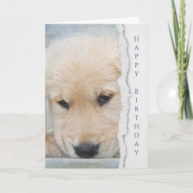 golden retriever puppy birthday card (Front)