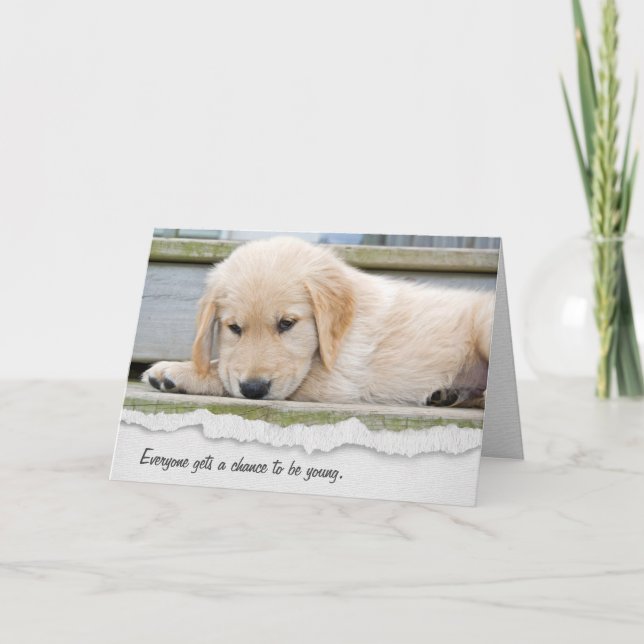 Golden Retriever Puppy Birthday Humour Card (Front)