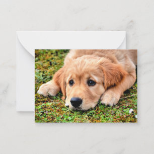 Golden Retriever Puppy Card