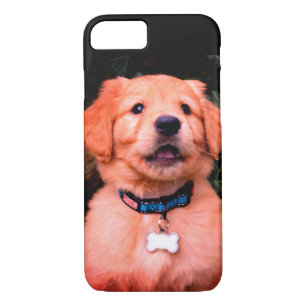 Golden Retriever Puppy iPhone 8/7 Case