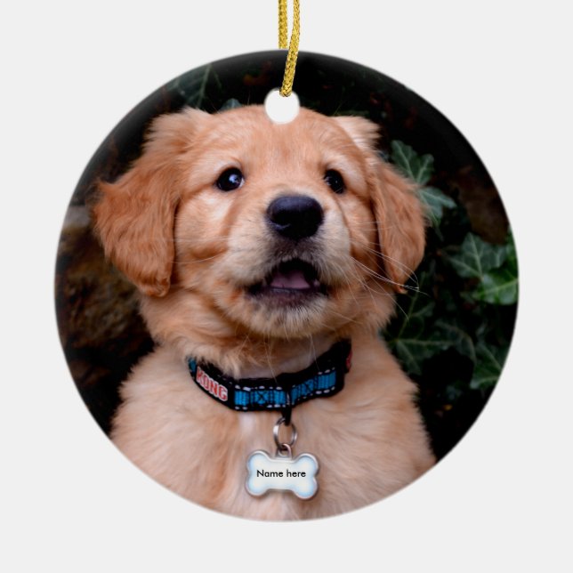 Golden Retriever Puppy Ceramic Ornament (Front)