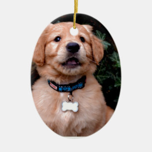Golden Retriever Puppy Ceramic Tree Decoration