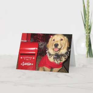Golden Retriever Puppy Christmas Delivery  Holiday Card