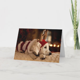 Golden Retriever Puppy Christmas & New Years Card