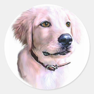 Golden Retriever Puppy Classic Round Sticker
