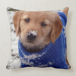 Golden Retriever Puppy Cushion