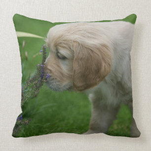 Golden Retriever Puppy Cushion