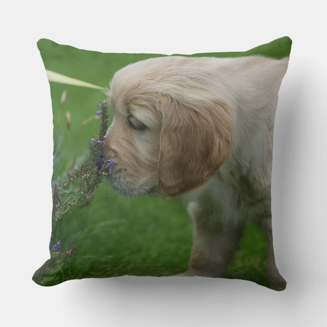 Golden Retriever Puppy Cushion (Front)