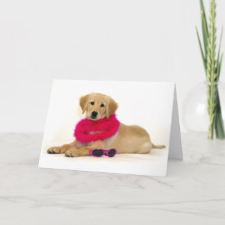 Golden Retriever Puppy Diva Card