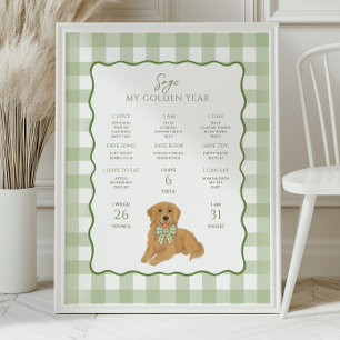 Golden Retriever Puppy Dog 1st Birthday Milestone  Poster