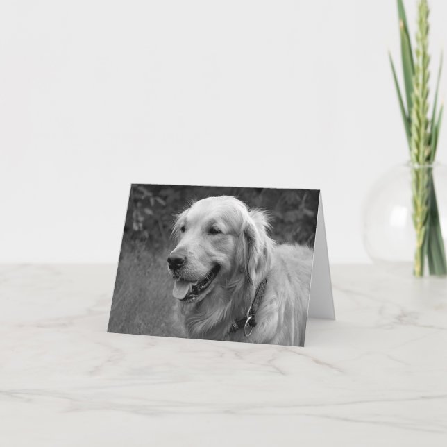 Golden Retriever Puppy Dog  Blank Card (Front)