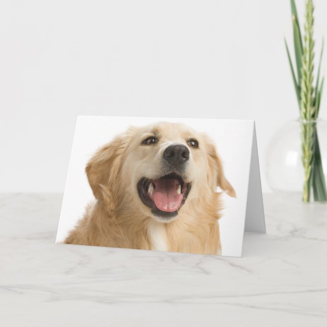 Golden Retriever Puppy Dog Blank Greeting Notecard (Front)