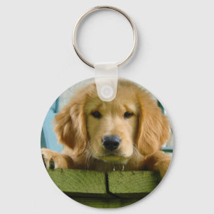 Golden Retriever Puppy Dog Canis Lupus Familiaris Key Ring
