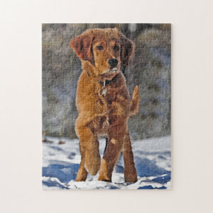 Golden Retriever Puppy Dog in the snow Jigsaw Puzzle
