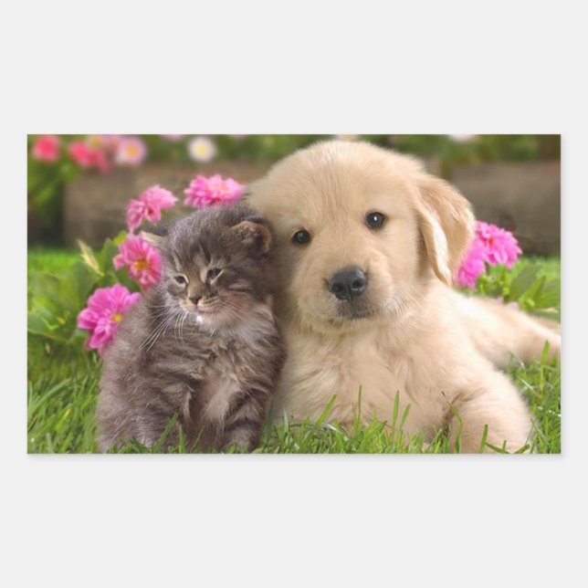 Golden Retriever Puppy Dog & Kitten  Sticker (Front)
