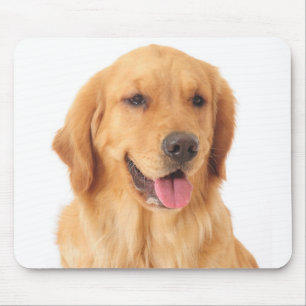 Golden Retriever Puppy Dog Love Mouse Pad