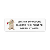 Golden Retriever Puppy Dog Love - Puppies Pup