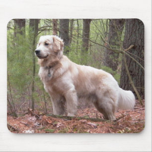 Golden Retriever Puppy Dog Mousepad