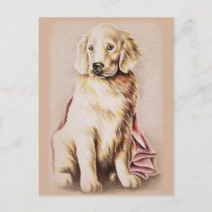 Golden Retriever Puppy dog pet portrait drawing Postcard
