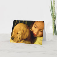 Golden Retriever Puppy Dog Photograph