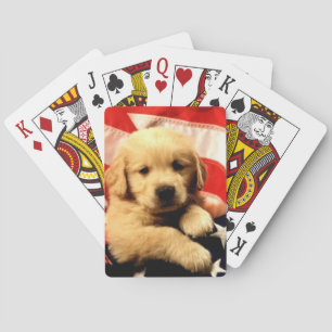 Golden Retriever Puppy Dog Playing Cards