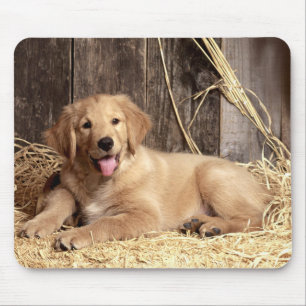 Golden Retriever Puppy Dog Rustic Barn Mouse Pad