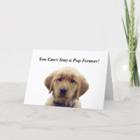 Golden Retriever Puppy Graduation Card
