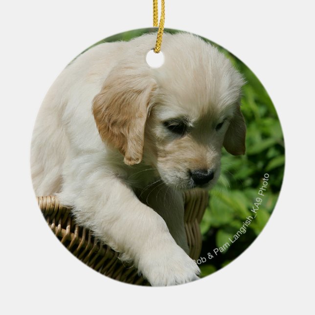 Golden Retriever Puppy in Basket Ceramic Ornament (Front)