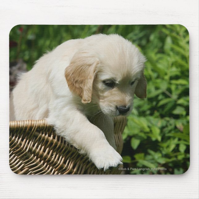 Golden Retriever Puppy in Basket Mouse Pad (Front)