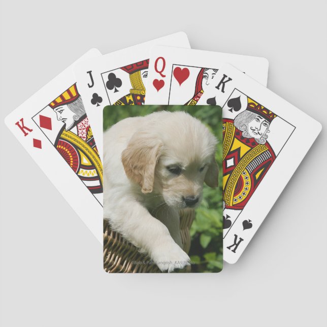 Golden Retriever Puppy in Basket Playing Cards (Back)