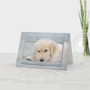 Golden Retriever puppy in blue frame Card