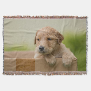 Golden Retriever Puppy in Box Throw Blanket