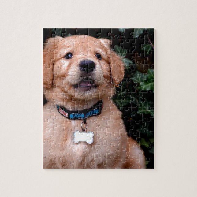 Golden Retriever Puppy Jigsaw Puzzle (Vertical)