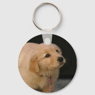 Golden Retriever Puppy Key Ring