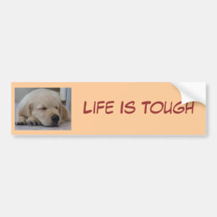 Golden Retriever Puppy Life Is Toug Bumper Sticker