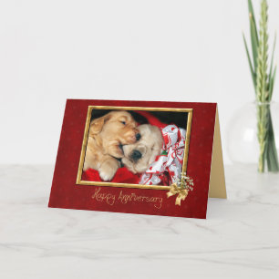 Golden Retriever puppy love anniversary Card