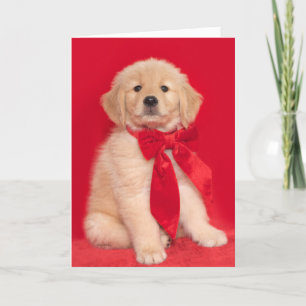 Golden Retriever Puppy Merry Woofin' Christmas Card