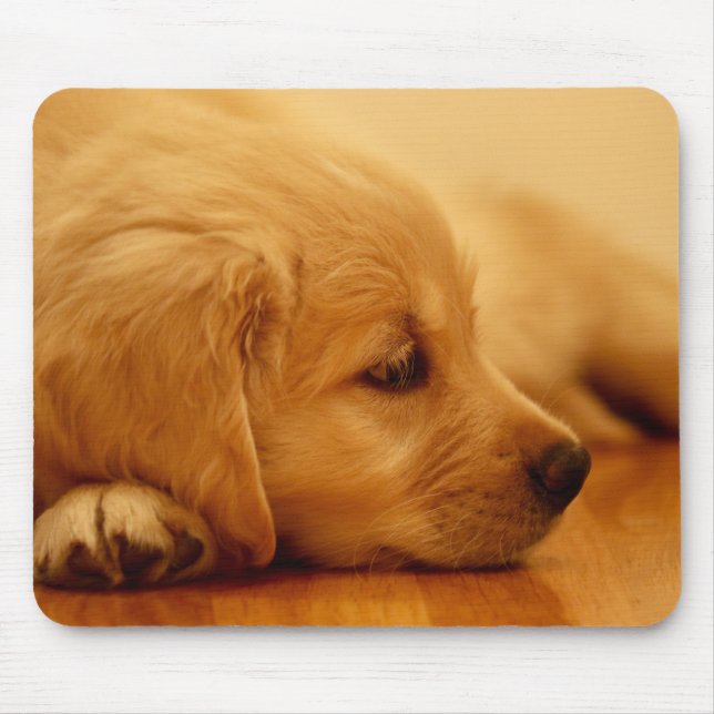 Golden Retriever Puppy Mouse Pad (Front)
