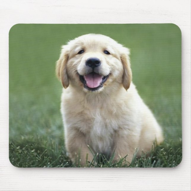 Golden Retriever Puppy Mousepad (Front)