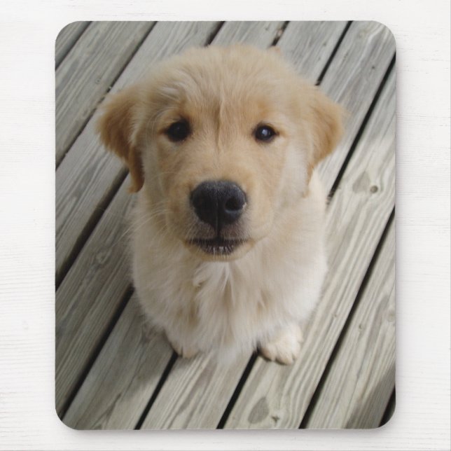 Golden retriever puppy mousepad (Front)