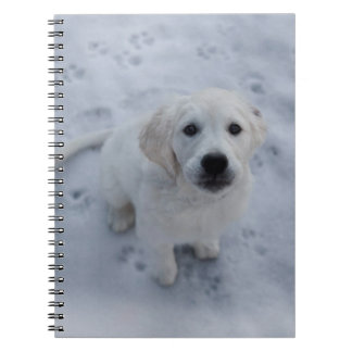 Golden Retriever Puppy Notepad Notebook