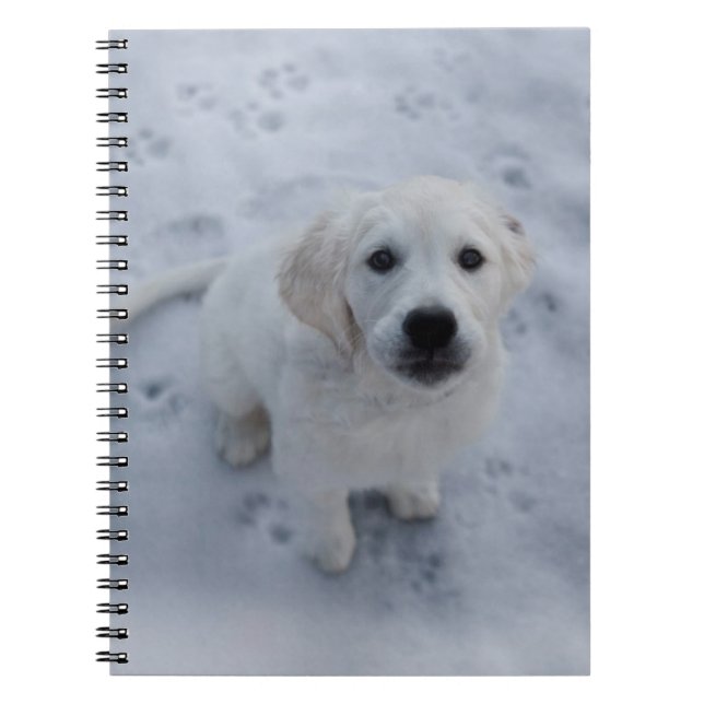 Golden Retriever Puppy Notepad Notebook (Front)