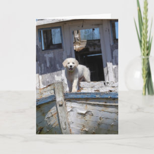 Golden Retriever Puppy on an Abandoned Tugboat Card