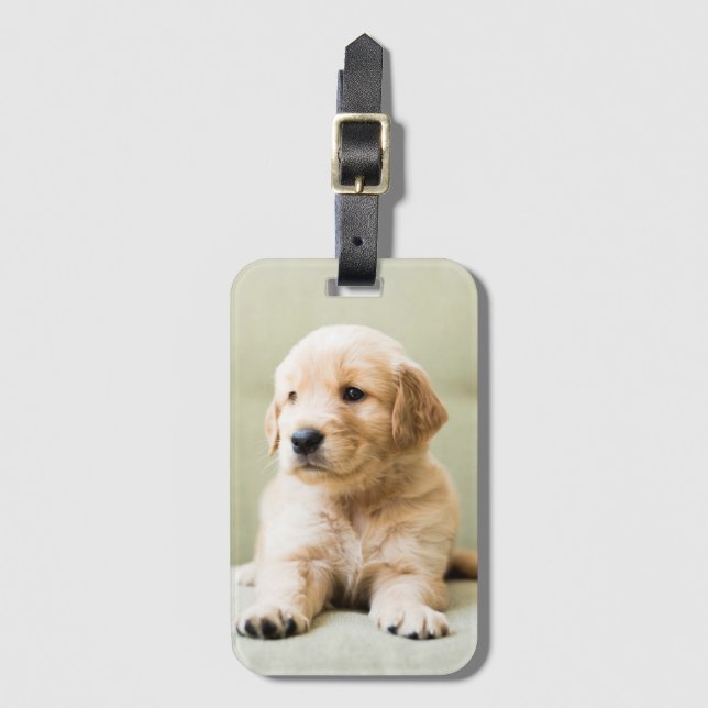 Golden Retriever Puppy on Couch Luggage Tag (Front Vertical)