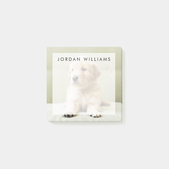 Golden Retriever Puppy on Couch Post-it Notes (Front)