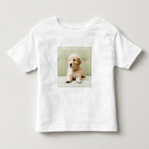Golden Retriever Puppy on Couch Toddler T-Shirt
