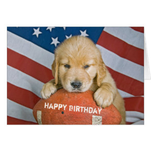 Golden Retriever puppy on football for birthday