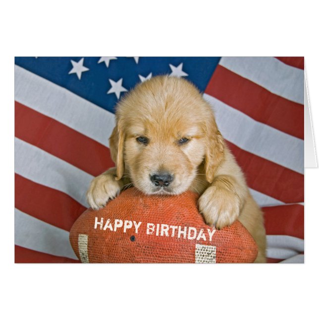 Golden Retriever puppy on football for birthday (Front Horizontal)